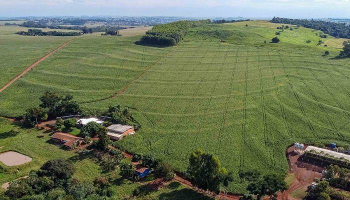  IAT reforça importância da atualização regular do Cadastro Ambiental Rural